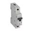 MCB RX³ 6000 - 1P - 230/400V~ - 32 A - C curve - prong/fork type supply busbars thumbnail 1