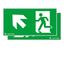 PURESIGN 150 MSC/MRC SP2-E002-UPLR ERI - Escape sign thumbnail 1