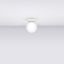 CEILING LAMP YOLI 1 WHITE G9 1X12 IP20 thumbnail 3