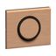 RING 2 WAY SWITCH thumbnail 5
