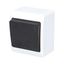 GALATEA Button symbol light No. 1/0 10A 230V on plaster IP44 white/black thumbnail 1