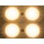 LED module ensures Twin 12 UWW IP65  CRI/RA 90+ thumbnail 1