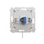 Single computer socket RJ45 category 6 with anti-dust cover, (module), Inox, metallized thumbnail 2
