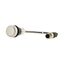 C22-D-W-K10-P3 Pushbutton, Flat, momentary, 1 N/O, Cable (black) with M12A plug, 4 pole, 0.5 m, White, Blank, Bezel: titanium thumbnail 9