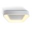 WHITE SQUARE PLAFO LED 50W WW IP20 230V thumbnail 1