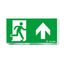 ECOSIGN 160 SP1-E002-UP - Escape sign thumbnail 1