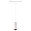 NUMINOS® S 48V TRACK DALI, pendant light, white / chrome, 16W, 960lm, 2700K, CRI90, 20° thumbnail 1