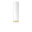 P-INF SC R70 800-930 LDO VFL-GD WH - LED surface-mount ceiling luminaire thumbnail 1