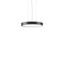TRIONA round, 38 W, 3050 lm, 827-865, anthracite, DALI Pendant luminai thumbnail 1