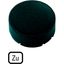 M22-XDH-S-D2 Button plate, raised black, TO thumbnail 5