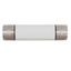 Oil fuse-link, medium voltage, 100 A, AC 7.2 kV, BS2692 F02, 359 x 63.5 mm, back-up, BS, IEC, ESI, with striker thumbnail 2