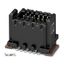 FP 0,8/ 12-MV 1,15 - SMD male connectors thumbnail 3