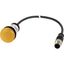 C22-L-Y-24-P5 Indicator light, Flat, Cable (black) with M12A plug, 4 pole, 1 m, Lens yellow, LED white, 24 V AC/DC thumbnail 5