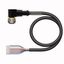 Actuator and Sensor Cable, PVC Connection Cable   WKC8T-30/TEL thumbnail 1