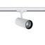 WHITE COB 20W WW TRACK SPOT 230V thumbnail 2