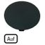 M22-XDP-S-D3 Button plate, mushroom black, UP thumbnail 1