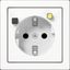 FI socket (RCD 30 mA) LS5520.30WW thumbnail 1