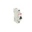 MD99 thumbnail 2