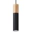 PABLO HANGING LAMP BLACK GU10 1X40W IP20 thumbnail 1