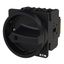 P3 Main switch, 80 A,Flush mounting, 3 pole, Form EA/SVB, Black, Door  thumbnail 8