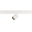 NUMINOS® XS 48V TRACK DALI, spot, white / black, 8.7W, 640lm, 2700K, CRI90, 20° thumbnail 2