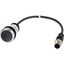 C22-D-S-K01-P5 Pushbutton, Flat, momentary, 1 NC, Cable (black) with M12A plug, 4 pole, 1 m, black, Blank, Bezel: titanium thumbnail 5