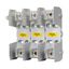 Eaton Bussmann series HLS fuse holder, No flanges, 125 Vac, 60 Vdc, 15A, Two-pole, Tin-plated bifrucated copper terminal thumbnail 11