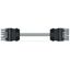 pre-assembled interconnecting cable Cca Socket/plug gray thumbnail 2