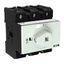 P3 Main switch, 80 A,Rear mounting, 3 pole, Form X, Other, Other thumbnail 3