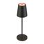 VINOLINA TWO, table lamp, battery-powered, IP65, 2200/2700/3000K, TOUCH, black thumbnail 5