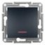 Asfora -1pole pushbutton with locator light, screwless terminals,wo frame,anthra thumbnail 2