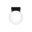 CEILING LAMP YOLI 1 BLACK G9 1X12 IP20 thumbnail 1