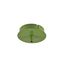 rosette, 1 Exit, round, fern green, incl.strain relief thumbnail 1