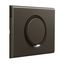 RING 2 WAY SWITCH LUMINOUS thumbnail 4