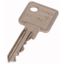 KEY-E10/30-GS Spare key PHZ common locking thumbnail 1