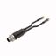 2-Way Splitter Y-Splitter with Cable, Male M12 × 1 - 2x Female M8 × 1   VBRS4.4-2PKG3M-10/10/TEL thumbnail 2