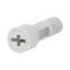 Screw for the ACQUA Combi series thumbnail 2