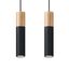 SOLLUX - pendant lamp PABLO 2 black SL.0633 thumbnail 1