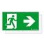 PURESIGN 150 MSC/MRC SP1-E002-R ERI SR - Escape sign thumbnail 1