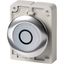 M30C-FDL-W-X0 Illuminated pushbutton actuator, RMQ-Titan, Flat, momentary, White, inscribed 0, Metal bezel thumbnail 2