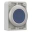 M30C-FDRL-B Illuminated pushbutton actuator, RMQ-Titan, Flat, maintained, Blue, Blank, Metal bezel thumbnail 7