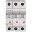 Miniature circuit breaker (MCB), 10 A, 3p, characteristic: B thumbnail 1