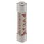Fuse-link, Overcurrent NON SMD, 5 A, AC 240 V, BS1362 plug fuse, 6.3 x 25 mm, gL/gG, BS thumbnail 22