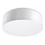 CEILING LAMP ARENA 35 WHITE E27 2X60W IP20 thumbnail 3