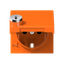 Cover for SCHUKO® sockets A1520KLSLPLO thumbnail 1