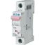 PL6-D16/1 Miniature circuit breaker (MCB), 16 A, 1p, characteristic: D thumbnail 1