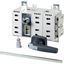 DDC-250/2/M4/P-G DC switch disconnector, 250 A, 2 pole, 2 N/O, 2 N/C, with grey knob, rear mounting thumbnail 3