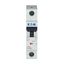 Miniature circuit breaker (MCB), 4 A, 1p, characteristic: D thumbnail 11