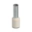 AI 10   -12 IV - Ferrule thumbnail 2