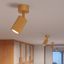 Ceiling lamp KARBON 1 golden thumbnail 6